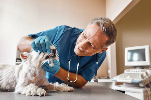 Best Pediatric Emergency Dentist in Boynton Beach, FL